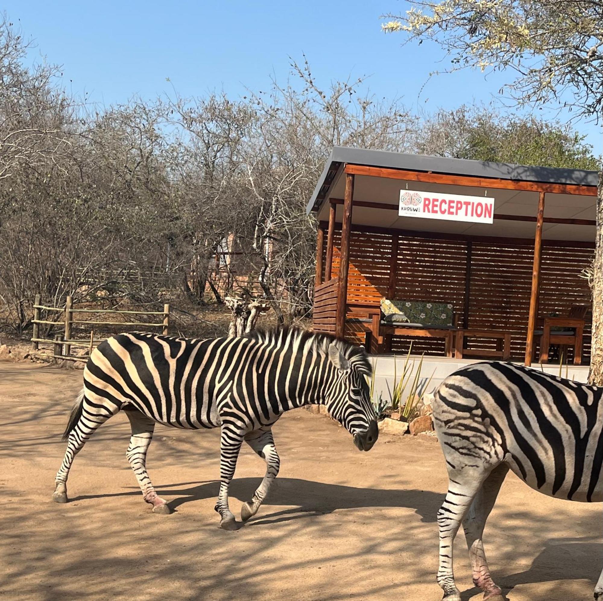 Kholiwe On Kruger Lodge & Safaris Marloth Park Eksteriør billede