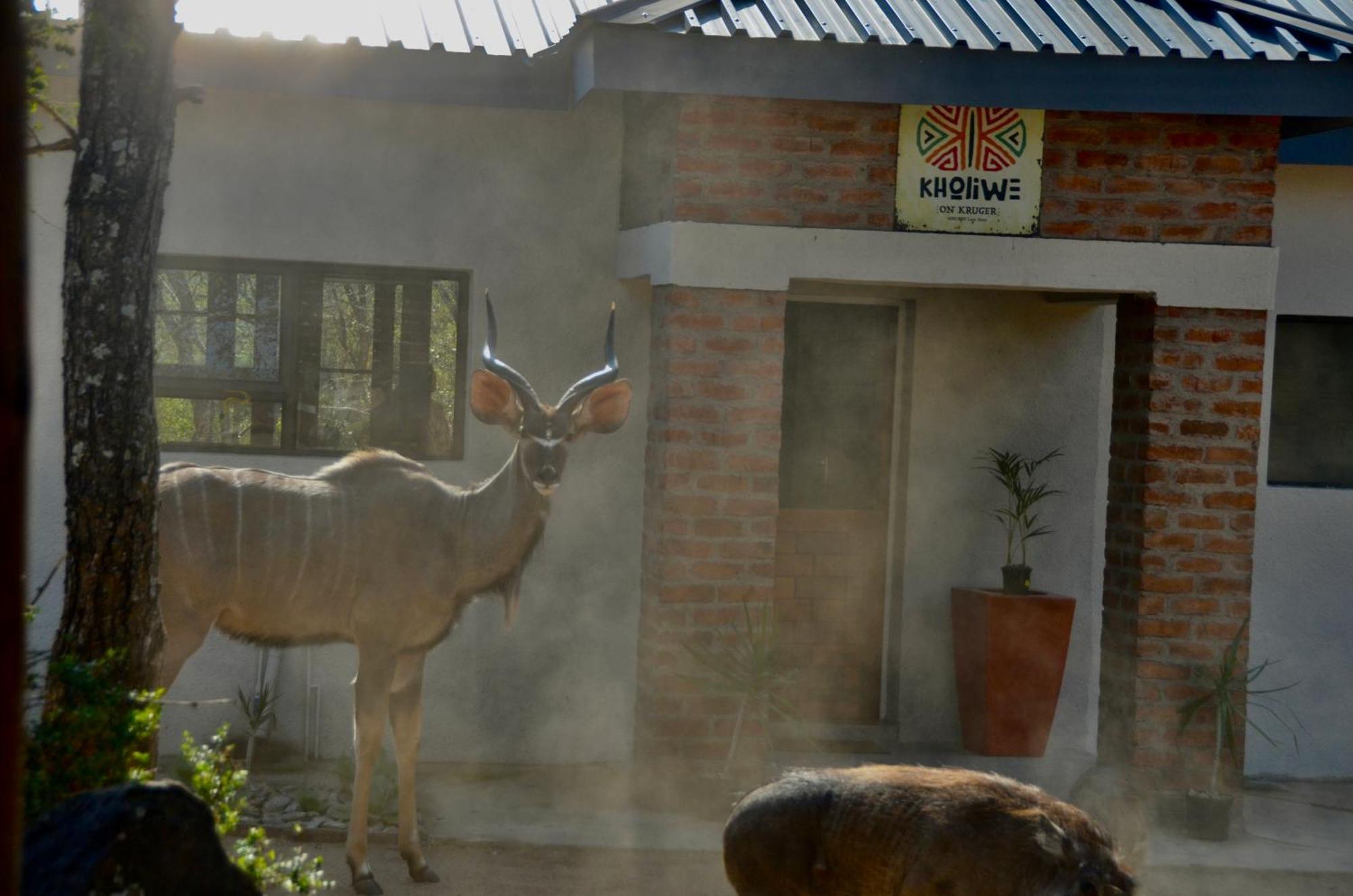 Kholiwe On Kruger Lodge & Safaris Marloth Park Eksteriør billede