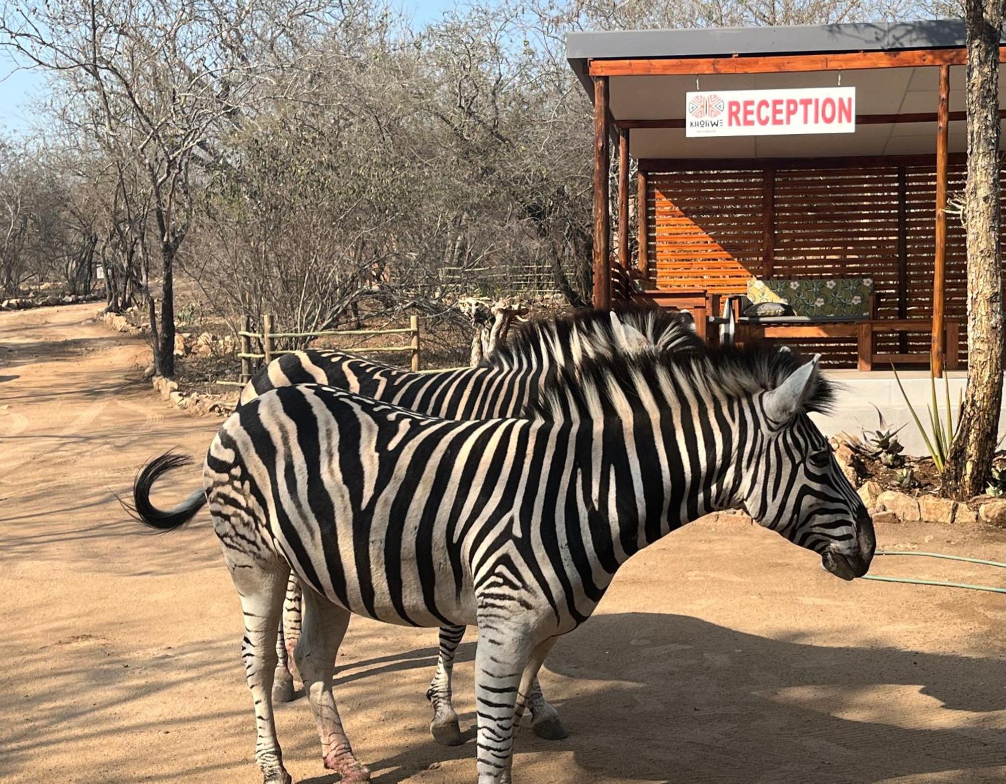 Kholiwe On Kruger Lodge & Safaris Marloth Park Eksteriør billede