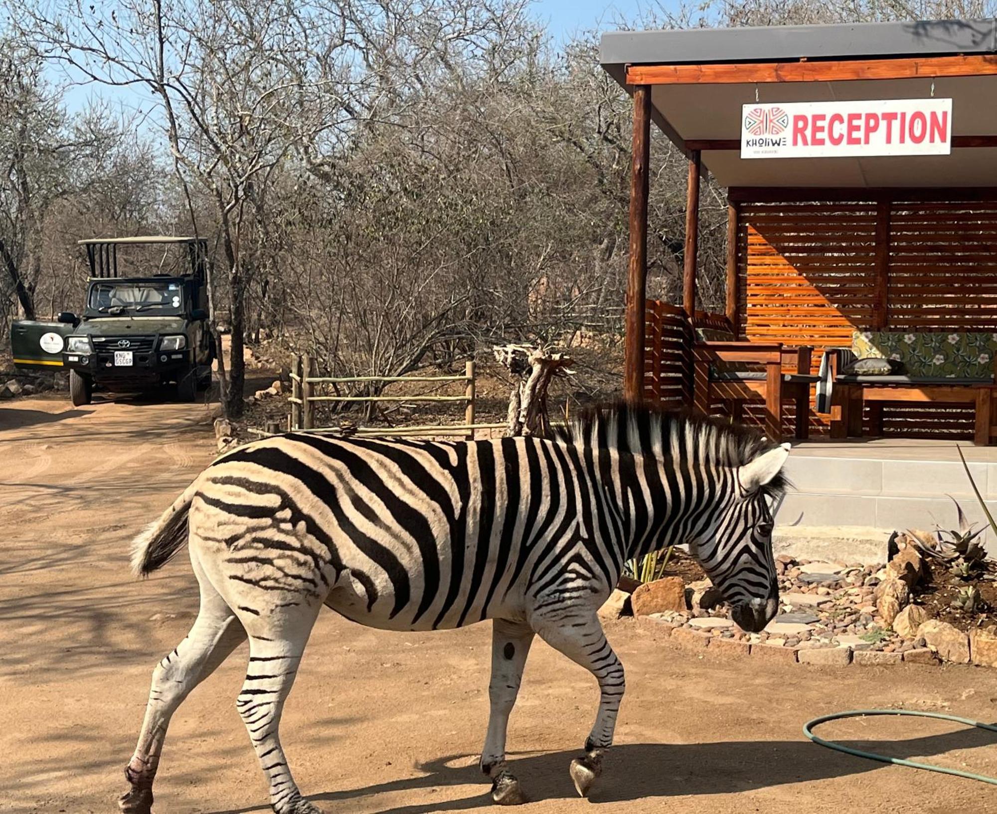 Kholiwe On Kruger Lodge & Safaris Marloth Park Eksteriør billede